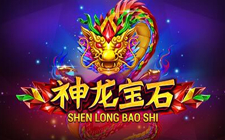 Ойын автоматы Shen Long Mi Bao
